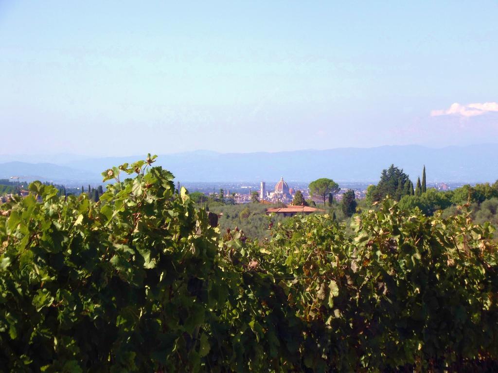 Le Civette Country Resort Bagno a Ripoli Kültér fotó