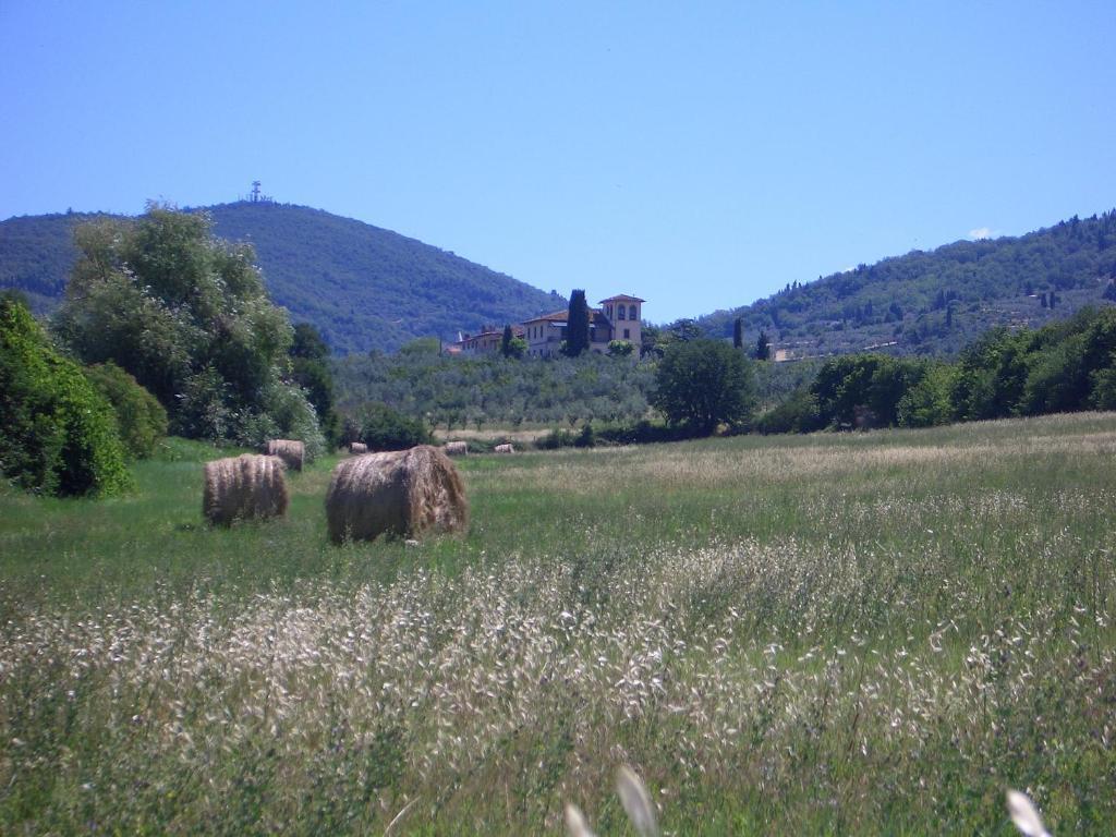 Le Civette Country Resort Bagno a Ripoli Kültér fotó